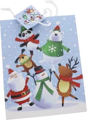 Produktbild von Geschenktasche - Nordpol - Maße ca. 17,8 x 9,8 x 22,9 cm