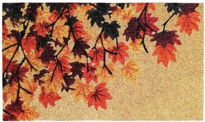 Zdjęcie produktu dla Ibenzoa® Mata do drzwi z włókna kokosowego, 40 x 70 cm, grubość 1,8 cm, wykonana w 100% z naturalnych włókien kokosowych, antypoślizgowa gumowa podkładka – wytrzymała mata do zbierania brudu, idealna do użytku wewnątrz i na zewnątrz