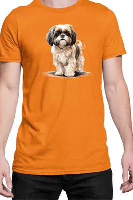 Produktbild von Herren T-Shirt Dogs Breeds Shih Tzu Dog Breed 005, Man 2XL / Orange