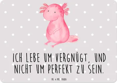 Produktbild von Mr. & Mrs. Panda tafel Axolotl Niedlich DIN A6 - Grau Pastell - Geschenk, Wandbild, Türschild, Weisheit, Lebensweisheit, Freundin, Retro Blechschild, Metallschild, Schild