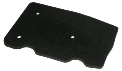 Produktbild von Luftfilter Malaguti Ciak 50 '99-02, (50)