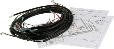 Immagine prodotto di Cablaggio, versione standard - MZ TS250