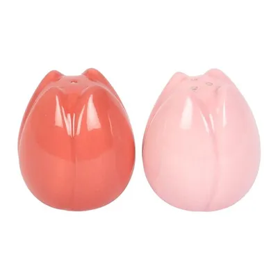 Image de Something Different - Salière et poivrière en céramique Tulipes