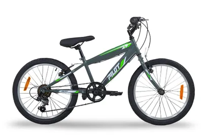 Produktbild von Pilot Bike 20 Zoll, Kinder Mountainbike, 6-Gang Shimano Schalthebel, Stahlrahmen, V-Brakes