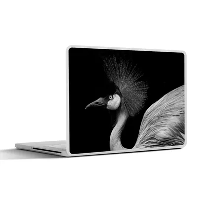 Produktbild von MuchoWow® Laptop Aufkleber Sticker Cover Kranich - Schwarz - Weiß - Vogel - Tiere 25x18 cm - Laptop-Deko