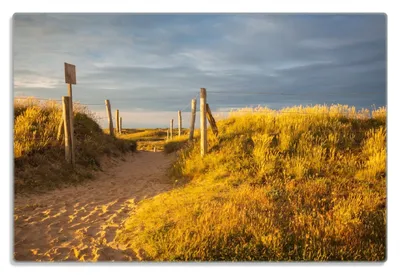 Produktbild von Wallario Frühstücksbrettchen aus Glas 20 x 30 cm mit rutschfesten Füßen, Motiv Düne am Strand bei Sonnenuntergang in Frankreich
