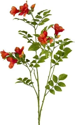 Produktbild von artplants.de Deko Zweig Trompetenblume FRUHAN, orange, 80cm - Kunstblumenzweig