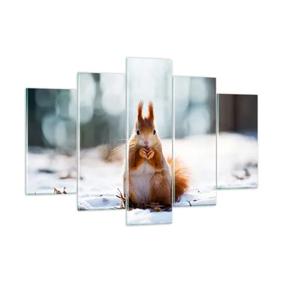 Produktbild von Bilder auf glas - Eichhörnchen Winter Schnee Essen - 150x100cm - Glasbilder - Wandbilder - Kunstdruck - Wanddekoration aus Glas - Glas Bilder - Wandbild auf Glas - GEA150x100-2798