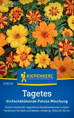 Produktbild von Kiepenkerl Tagetessamen Einfachblühende Patula 5 Pflanzen