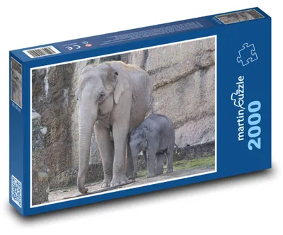 Zdjęcie produktu dla Puzzle 2000 Słoniątko i matka - martinpuzzle