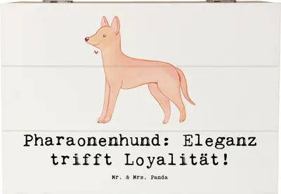 Produktbild von Mr. & Mrs. Panda Box Pharaonenhund Eleganz 22 x 15 cm - Weiß - Geschenk, aktive Hunde, Hunderasse, schatztruhe, geschenkkiste, Hunderassen Beschreibung, Holzbox, Pflege