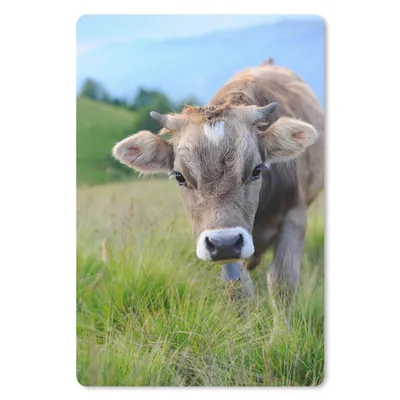 Produktbild von MuchoWow® Mauspad Mousepad Kuh - Braun - Landschaft 18x27 cm - Mousepads - Maus Mat - Pad - Mausunterlage