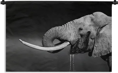 Produktbild von MuchoWow® Wandteppich Wandbehang Elefant - Wasser - Tiere - Schwarz - Weiß 90x60 cm Tapisserie Dekoration Wandtuch - Wandskulpturen - Bildteppich