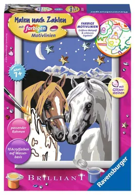 Obrázek produktu pro Ravensburger 4005556280247, 1 str., Obrazy v balení, Chlapec/děvče, Sada vybarvování podle čísel