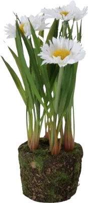 Produktbild von Boltze Gruppe Margerite Kunstpflanze 20 cm