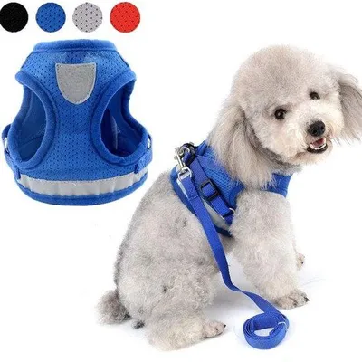 Produktbild von Famanu Hundegeschirr mit Leine für kleine Hunde - verstellbar - reflektierend - weich gepolstert - Katzenharness - fluchtbeständig - für Welpen -