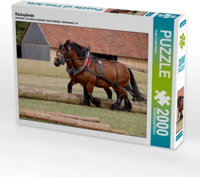 Produktbild von Calvendo Rückepferde 2000 Teile Puzzle quer 900x670mm, Lindert-Rottke Antje; 7428870