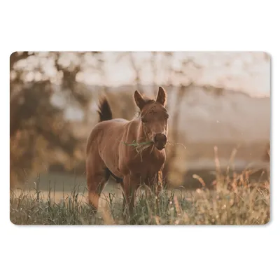 Produktbild von MuchoWow® Schreibtischunterlage Pferd - Sonne - Gras 60x40 cm - XXL Mauspad - Großes Mauspad