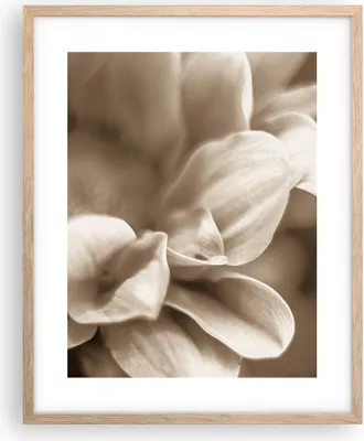 Produktbild von Gerahmtes Poster - Rahmen in heller Eiche - Blumen Boho ohne - 40x50 cm - Wand Bild - Wanddeko - Wandbilder - Kunstposter - Wandposter - Bilderrahmen - Bilder - Kunstdruck - P2NPA40x50-4767