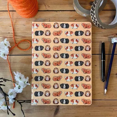 Produktbild von Notebook B5/40K linka SNL13 Morčatá