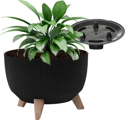 Produktbild von Pflanzentopf auf Beinen mit Einsatz schwarz ROMA Eco 29x23