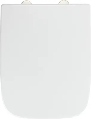 A top-down view of a white toilet seat.