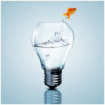 Produktbild von Wallario Premium Glasbild, freischwebende Optik, kräftige Farben, Größe 50 x 50 cm Motiv Goldfisch springt aus Aquarium