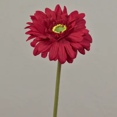 Produktbild von artplants.de Künstliche Blume Gerbera QIUDONG, rot, 50 cm - Künstliche Stielblume