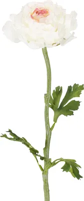 Produktbild von Kunstblume Ranunkel für stilvolle und pflegeleichte Dekoration, 3 Stück