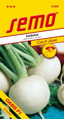 Obrázok produktu pre Vodnica Oasis F1 SEMO 4125