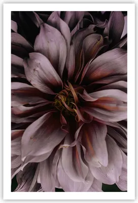 Produktbild von Poster - Poster ohne Rahmen - Blumenstrauß Künstlerisch Blume - 61x91,5 cm - Wand Bild - Wanddeko - Wandbilder - Kunstposter - Wandposter - Bilder - Kunstdruck - Wanddekoration - P2XPA61x91-5019