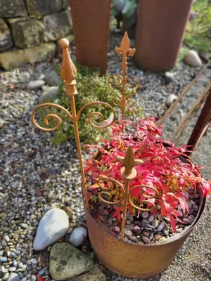 Produktbild von Vintage Edelrost Gartendeko Stab Metall 58cm 3er Set, 3 Stück