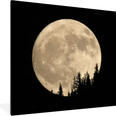 Produktbild von MuchoWow® Gerahmtes Poster Mond - Bäume - Schwarz 40x30 cm - Poster mit Schwarzem Bilderrahmen Wandposter Rahmen Foto Bilder - Kunstposter - Wanddekorationen