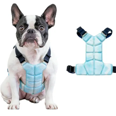 Produktbild von Kühlweste für Hunde, Wiederverwendbare mit Verstellbare Gurte, Sommer Hundeweste Kühlung, langanhaltender Kühlung, für mittelgroße Hunde, Blau, M+M
