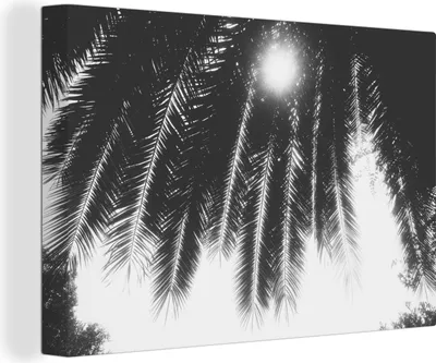Obrázek produktu pro OneMillionCanvasses® Malba na plátně Nástěnná malba na plátně - Palmové listy - Tropické - Slunce - Palma - 150x100cm