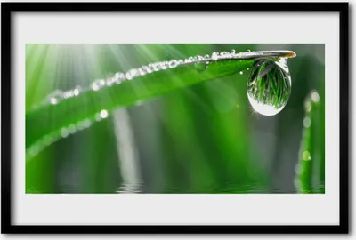 Produktbild von Bild 60x40 MDF-Rahmen Wandkunst Dew Drop Blatt Gras