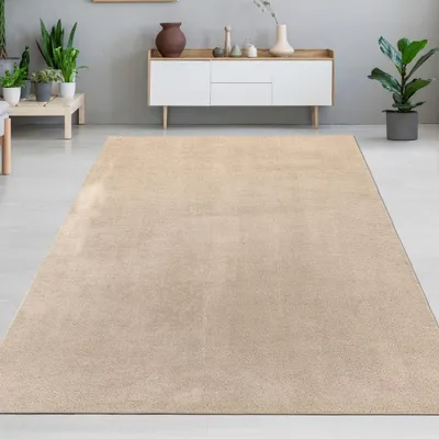 Immagine prodotto di Tappeto moderno di colore beige, resistente e morbido con un'elegante lucentezza Dimensioni - 240 x 340 cm