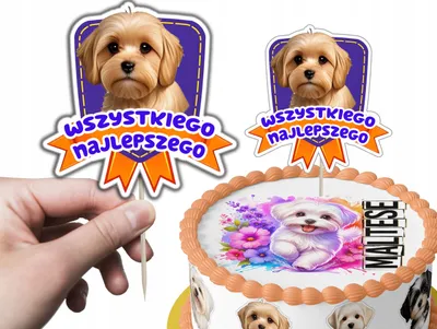 Produktbild von Tortenstecker Kuchendeko Geburtstag - Hund Hunde Rasse MALTAŃCZYK