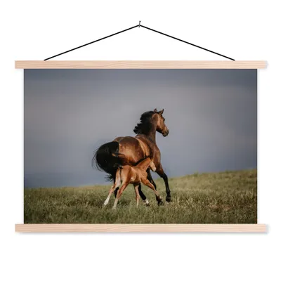 Produktbild von MuchoWow® Textilposter Tiere - Pferde - Fohlen 120x80 cm mit holzfarbenen Rahmen - Aufhängeset