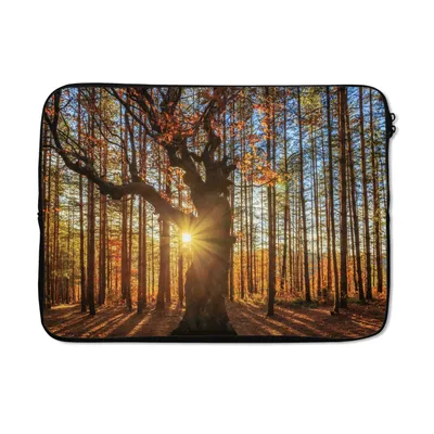 Produktbild von MuchoWow® Laptop Hülle 14 ZollHerbst - Sonne - Baum Laptoptasche - Laptoptasche - Stoßsicher - Schutzhaube