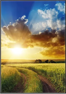 Produktbild von Wallario Wandbild Feldweg in den Sonnenuntergang, Größe: 70,30 x 100,30 cm, Poster mit schwarzem Aluminiumrahmen