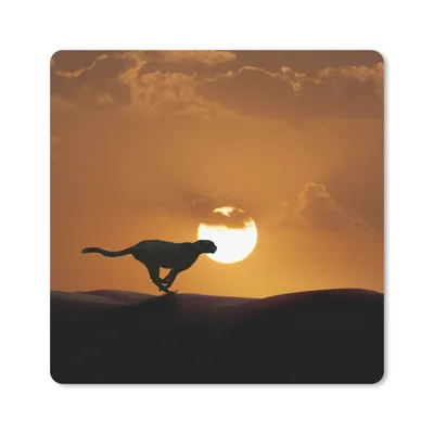 Produktbild von MuchoWow® Mauspad Mousepad Silhouette eines Geparden in der Wüste 20x20 cm - Mousepads - Maus Mat - Pad - Mausunterlage - Desk Mat - Bureauartikeln