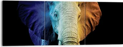 Produktbild von Bild auf Leinwand - Leinwandbild - 3 Teile - Bunt Elefant Fotografie - 150x50cm - Wand Bild - Wanddeko - Wandbilder - Leinwanddruck - Bilder - Wanddekoration - Leinwand bilder - CA150x50-4768