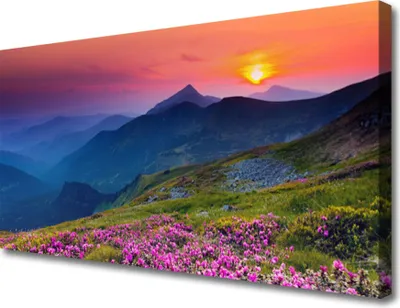 Produktbild von Tulup Leinwand-Bilder 100x50 Wandbild Canvas Kunstdruck Gebirge Wiese Blume Landschaft