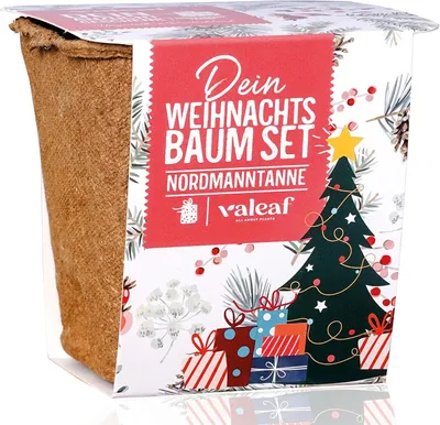 Produktbild von Weihnachtsbaum Anzuchtset, 10 Nordmann Tannen Samen, Topf, Kokoserde, Bewässerungsanschluss, für