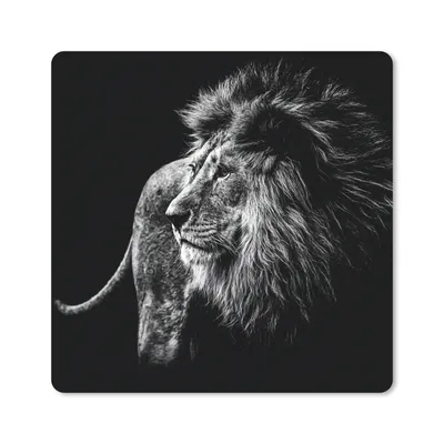Produktbild von MuchoWow® Mauspad Mousepad Tiere - Wild - Löwe - Schwarz - Weiß 30x30 cm - Mousepads - Maus Mat - Pad - Mausunterlage - Gaming