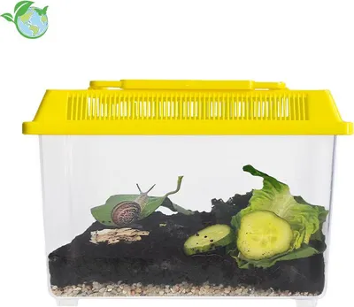Produktbild von TimeTEX Beobachtungs-Set "Schnecken", 5-tlg.