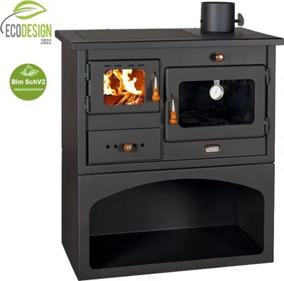 A black wood-burning stove with a glass oven door and a firebox with visible flames.