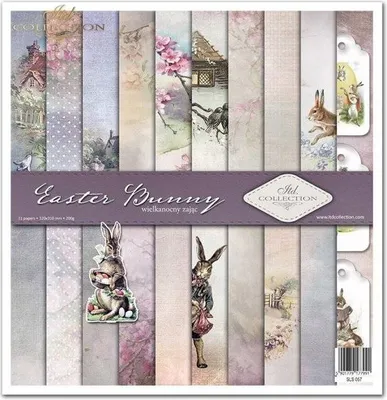 Immagine prodotto di ITD Set 11 pezzi 31x32cm carta monofacciale per scrapbooking 200g, Coniglietto di Pasqua
