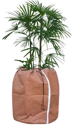 Image de Omgoods - Housse de protection thermique pour plantes en hiver, 70 x 65 cm